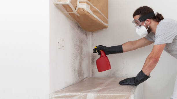 Professional Mold Removal technician working in Bailey, NC