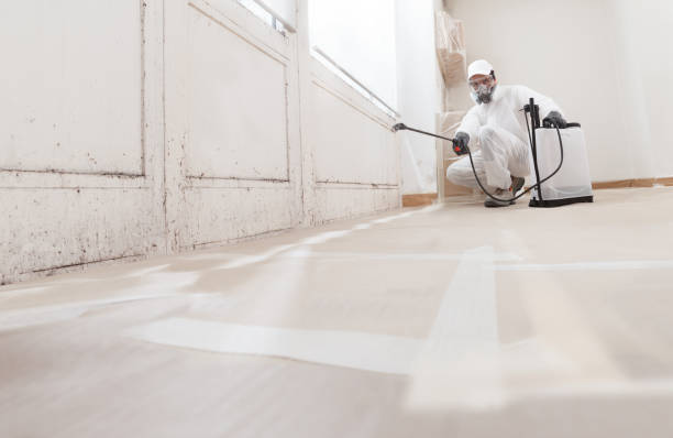 24/7 Emergency Mold Removal experts in Bailey, NC