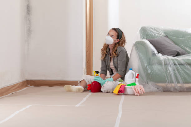 Reliable Mold Removal contractor in Bailey, NC by Mold Remediation HQ